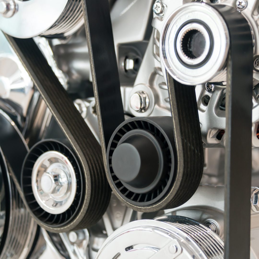 courroie de distribution